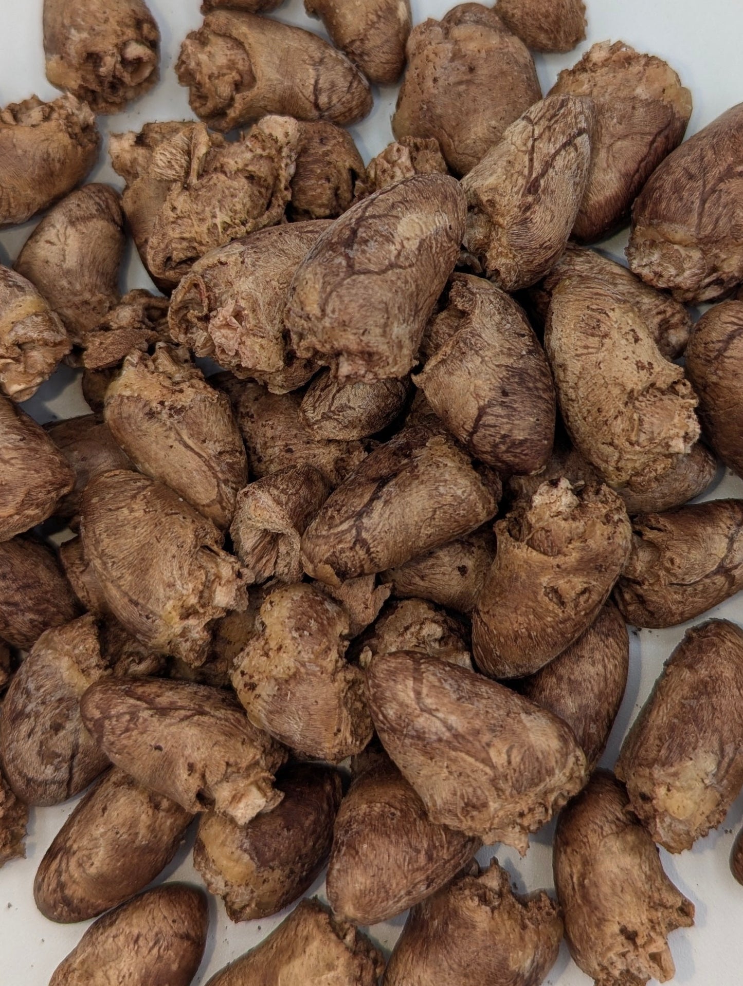 Freeze-Dried Chicken Hearts for Dogs – Protein-Rich Single Ingredient Dog Treats